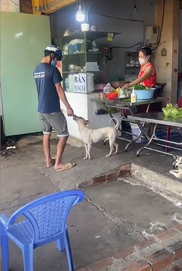 Вместе с женщиной в заведении работает лохматый коллега — пёсиль-кассир Вместе с женщиной в заведении работает лохматый коллега — пёсиль-кассир