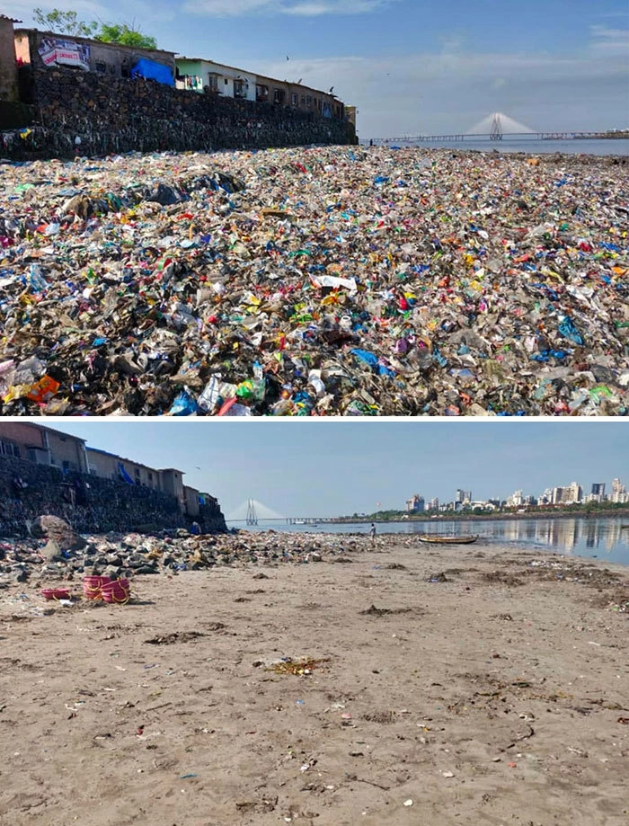 Пляж в Мумбаи до и после масштабной кампании по очистке от мусора и отходов. 