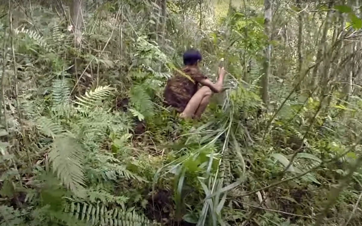 В 1972 году во время войны во Вьетнаме Хо Ван Ланг вместе с отцом бежал в джунгли В 1972 году во время войны во Вьетнаме Хо Ван Ланг вместе с отцом бежал в джунгли