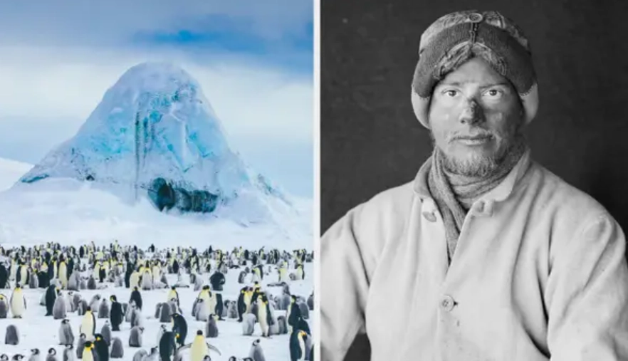 В 1911 году во время экспедиции в Антарктиду у исследователя Эпсли Черри-Гаррарда так сильно стучали зубы от холода, что раскрошились. 