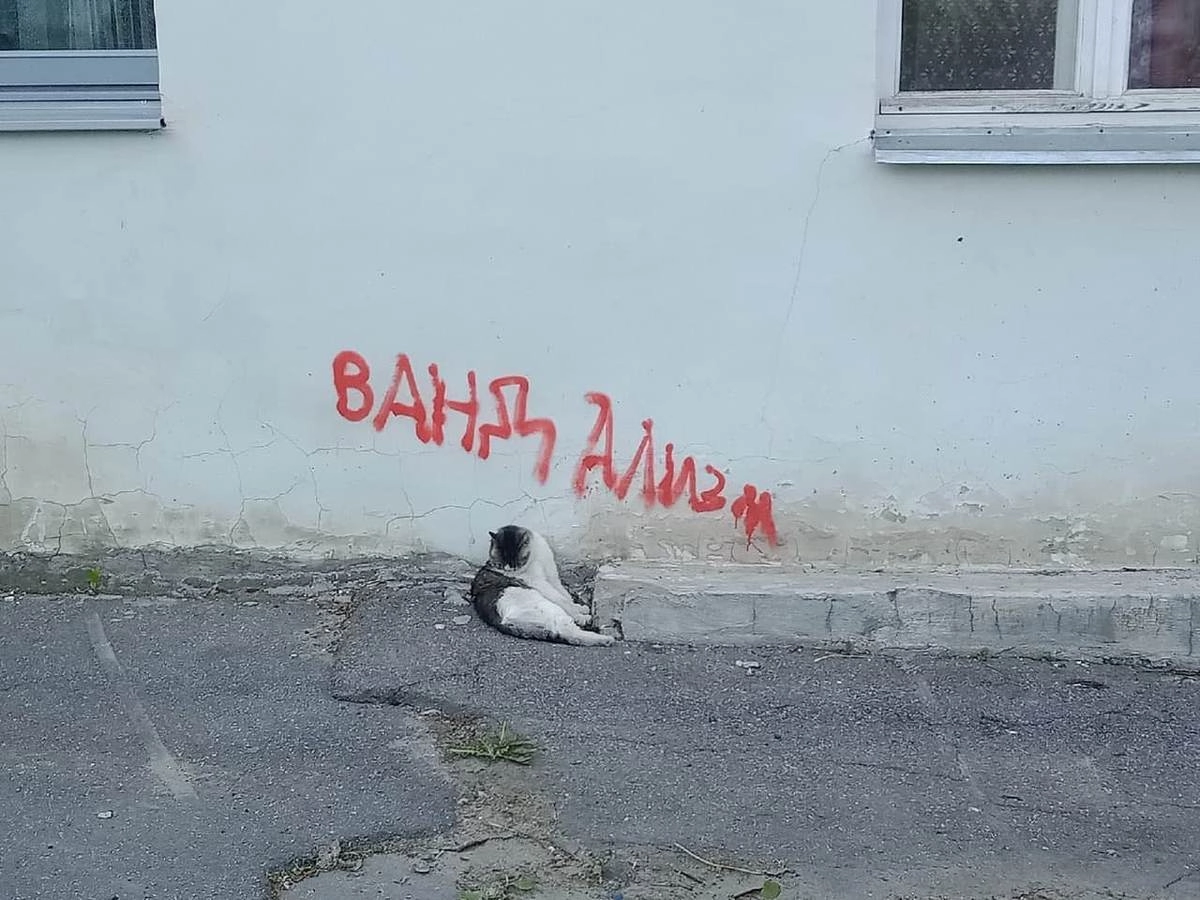 Пушистый вандал. 