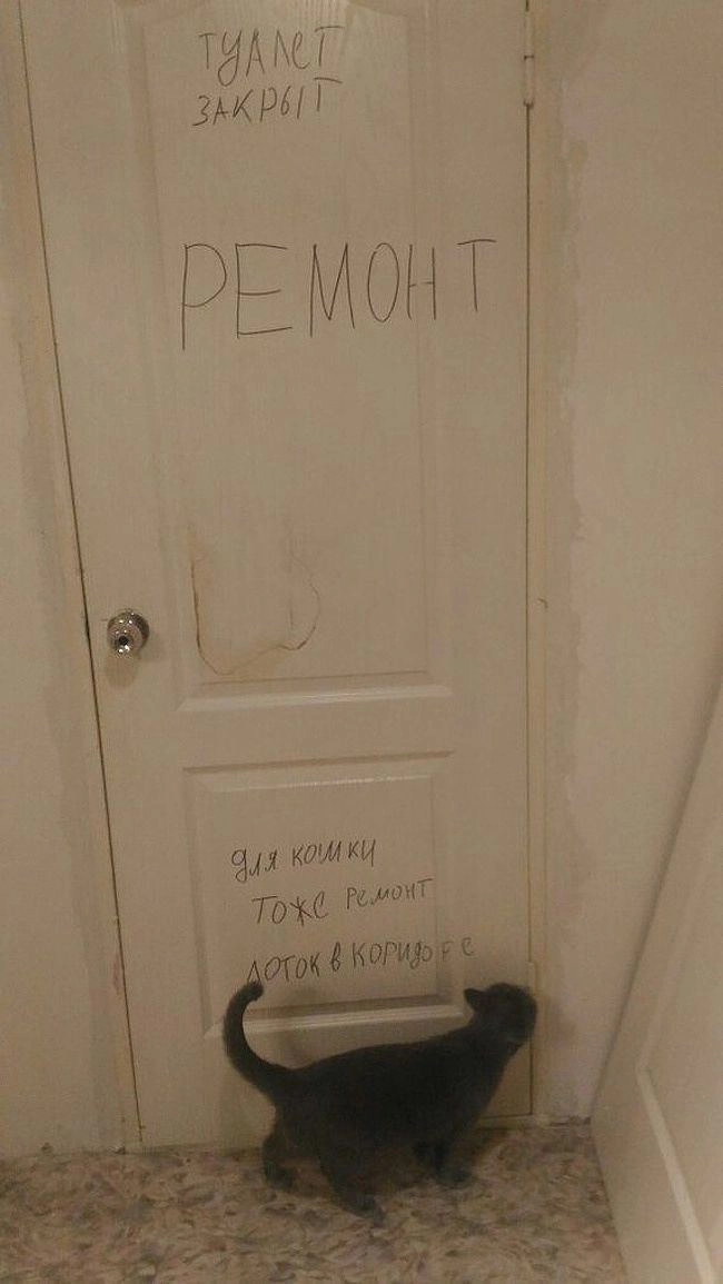 Суровые условия. 