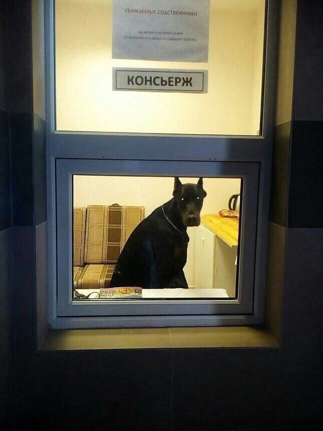 “Вы к кому?”. 