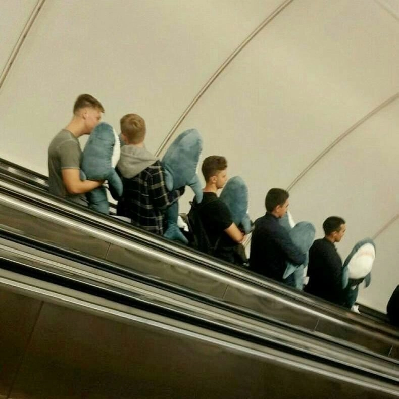 Дорога с рыбалки. 