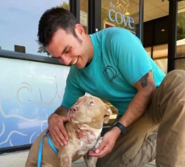 Брэд занялся «удочерением» Смоук, как только ее предыдущий хозяин лишился права на владение собакой