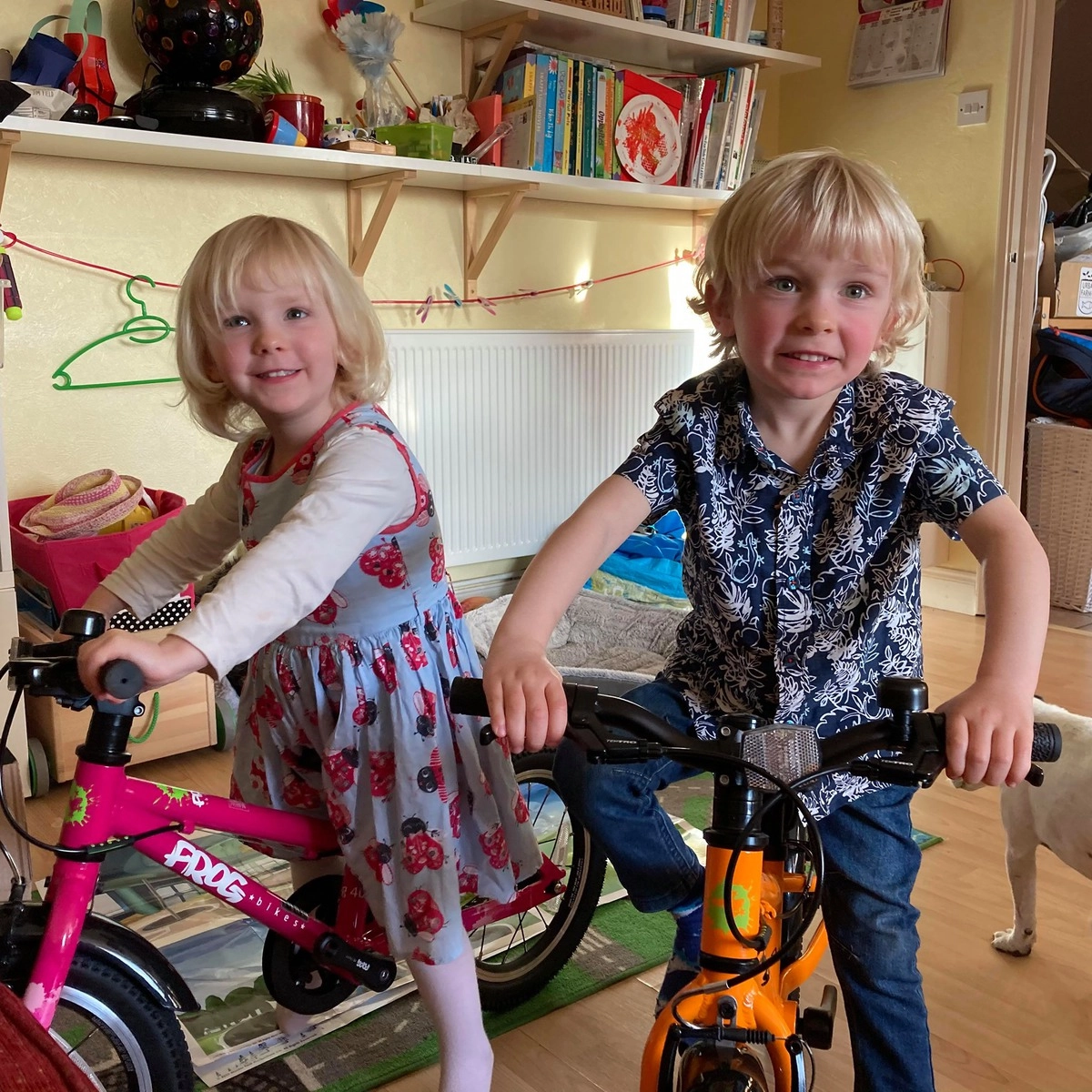 Близнецы были очень довольны и провели на улице весь день, увлеченно играя с машинками и катаясь на велосипедах Близнецы были очень довольны и провели на улице весь день, увлеченно играя с машинками и катаясь на велосипедах