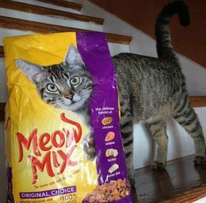 Замаскировался Замаскировался