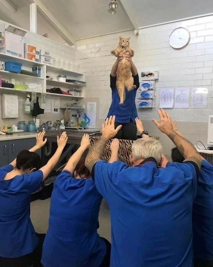 Которелигия существует Которелигия существует