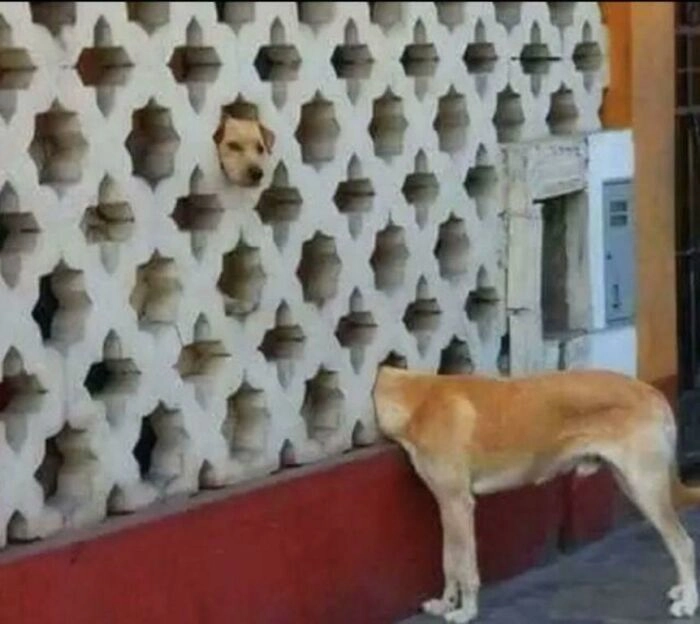 Магия вне Хогвартса Магия вне Хогвартса