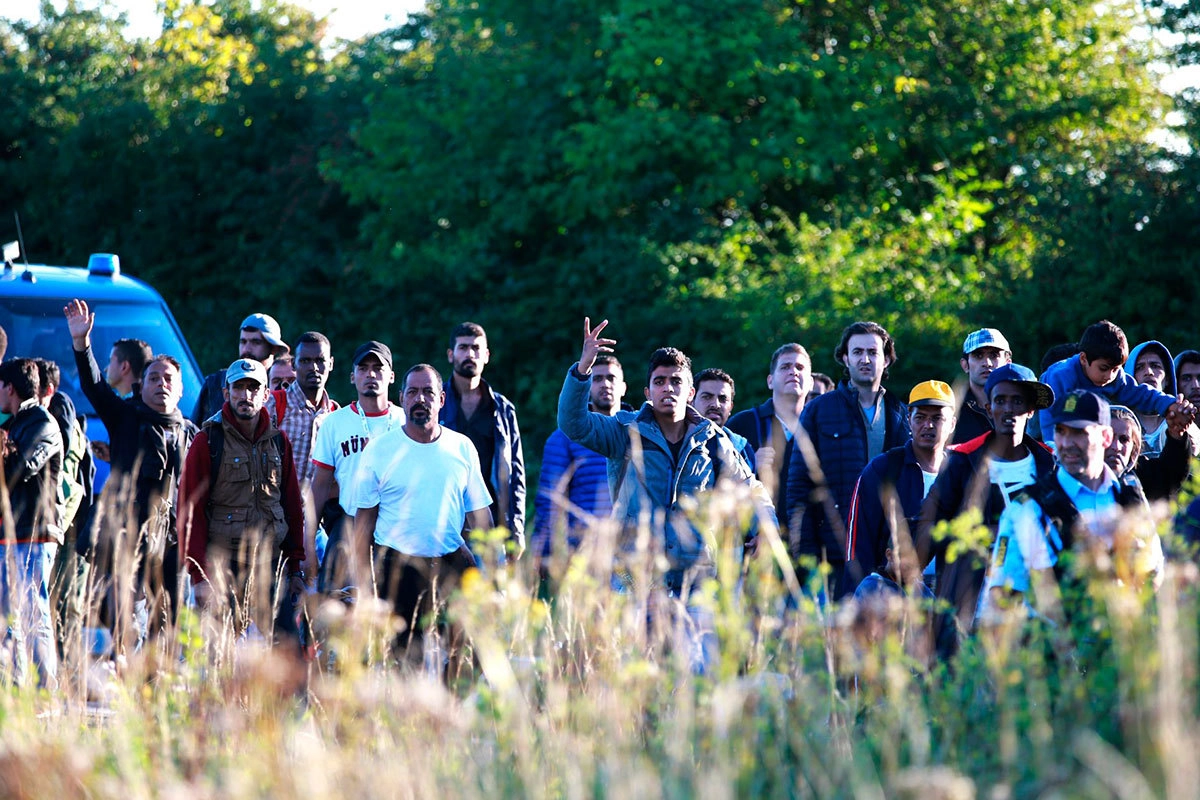  Нелегальные мигранты и беженцы из Сирии в Дании