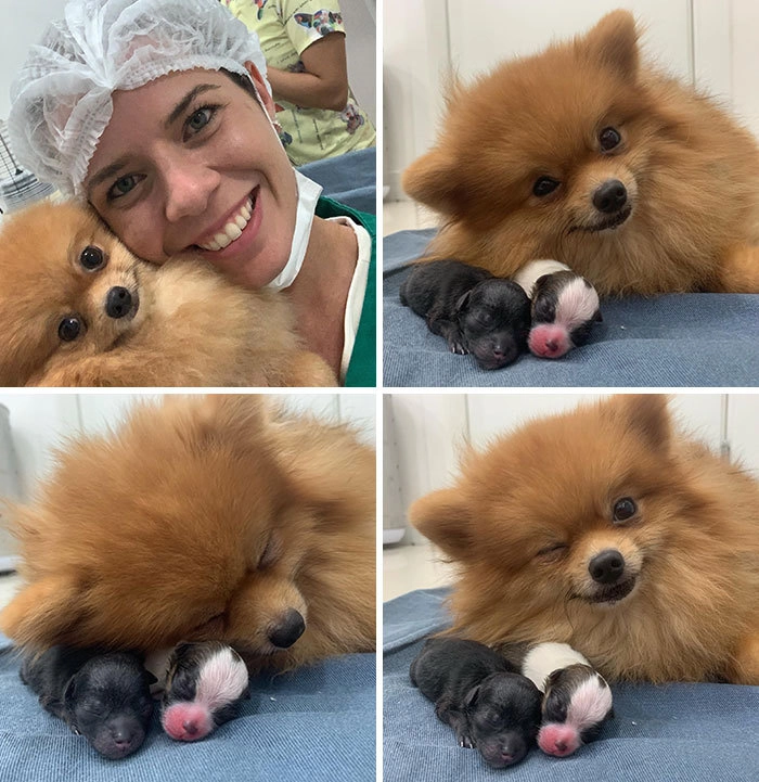 «Луз счастлива, что родила двоих малышей»