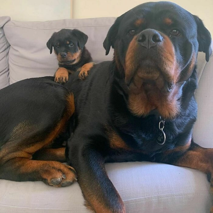 Мать и дочь