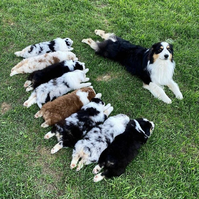 «Это все мое»