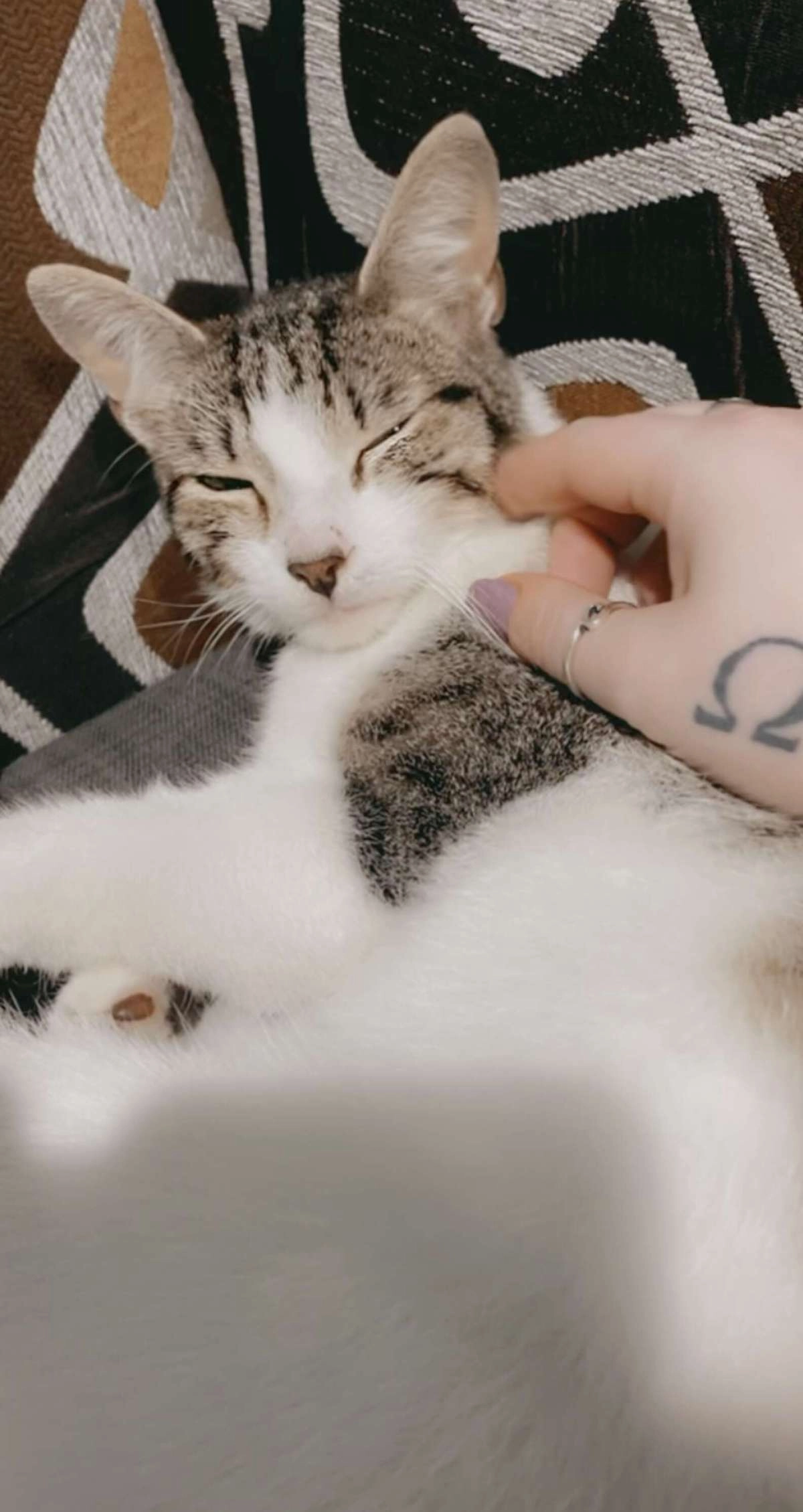 Девушка была немного сбита с толку присутствием кошки, но была рада ее компании