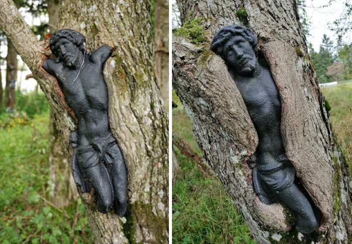 Скульптура Иисуса на заброшенном кладбище в Польше, которая медленно поглощается деревом