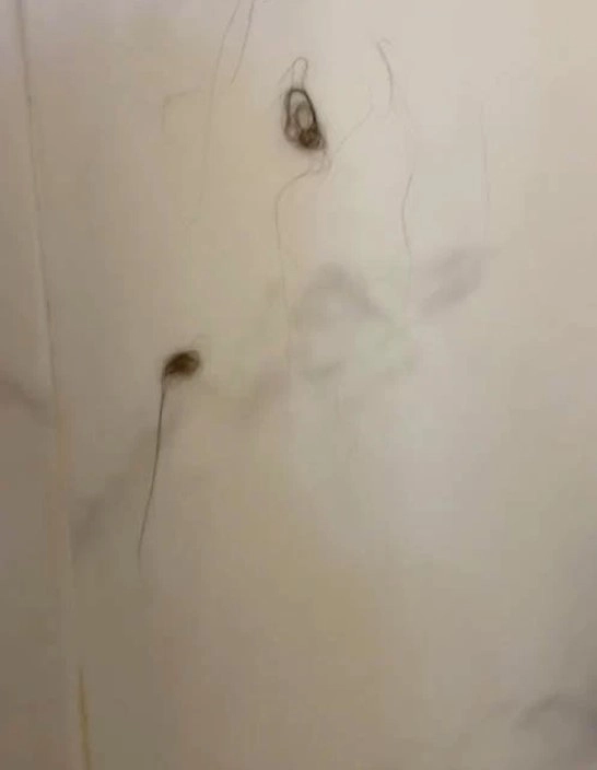 В душе Миа обнаружила пучки каштановых волос