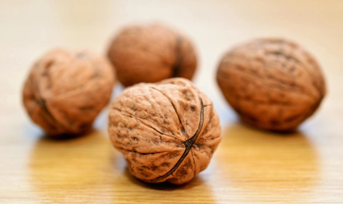Грецкие орехи богаты альфа-линоленовой кислотой