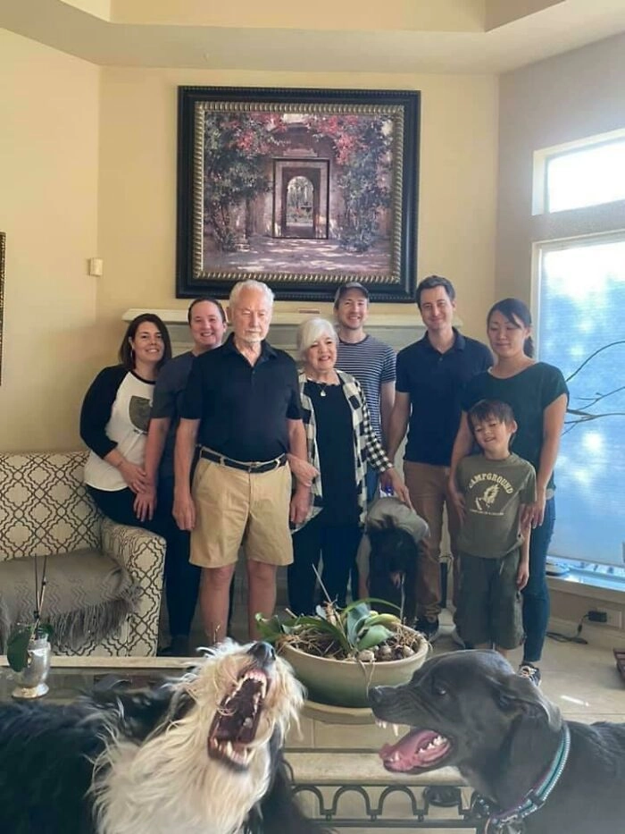 «Мы просто хотели красивое семейное фото» «Мы просто хотели красивое семейное фото»