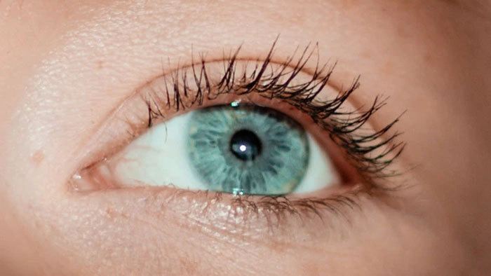 В 1800-х годах в моде была трансплантация ресниц. Волоски буквально втыкались иглой в веко. 