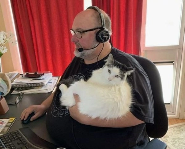 “Мы никогда не будем заводить еще одного кота”. 