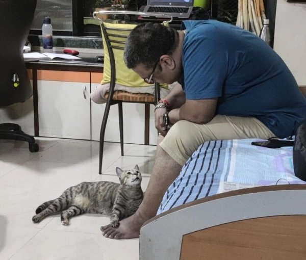 ““Вы можете его кормить, но в дом мы не пустим”, - говорил человек, который сейчас любит кота больше нас всех вместе взятых”. 