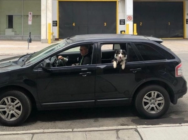 “Отец прошел путь от “Я не хочу в доме никакой собаки” до “Надо купить более подходящую машину, чтобы мы с Луной могли больше путешествовать””. 