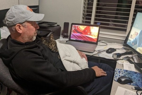 “Мой отец и кот из приюта, который украл его сердце с первой встречи”. 