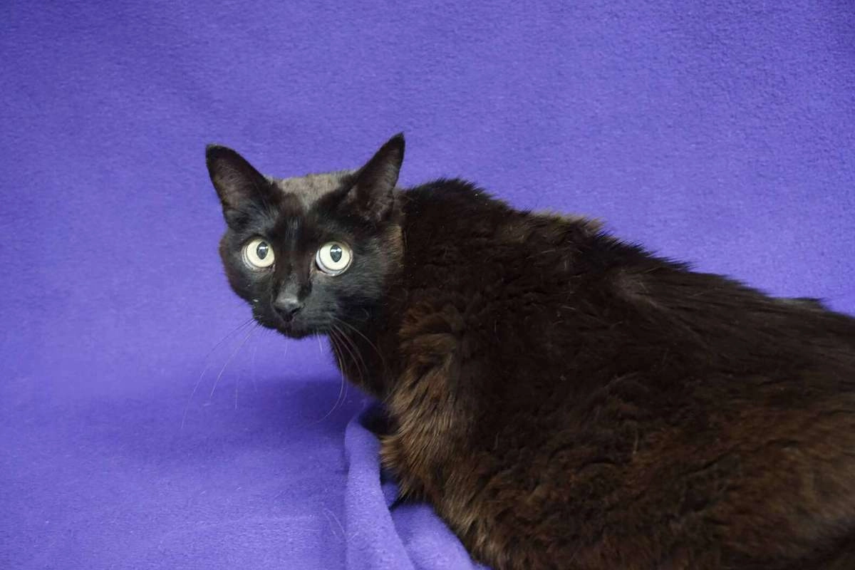 Сейчас Джулиана ждет операцию.