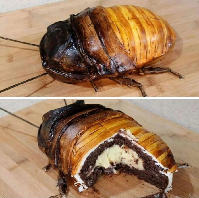 Торт в виде таракана. 