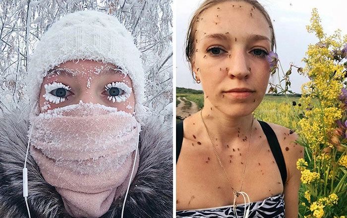 Зима и лето в Сибири. Зима и лето в Сибири.