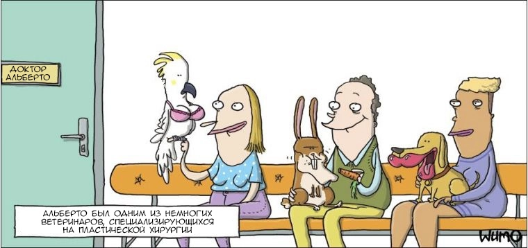 Пластический ветеринар. Пластический ветеринар.