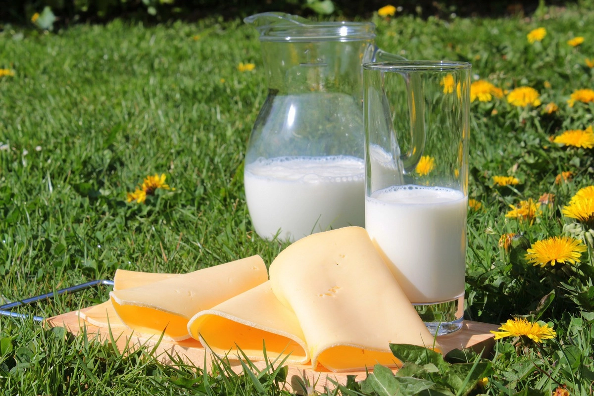 Молочные продукты. © pixabay.com