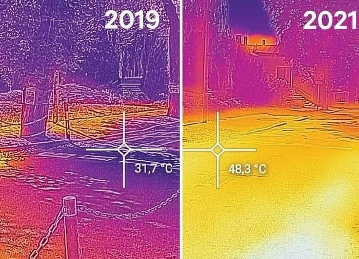 Как изменилась температура асфальта после вырубки деревьев. Как изменилась температура асфальта после вырубки деревьев.