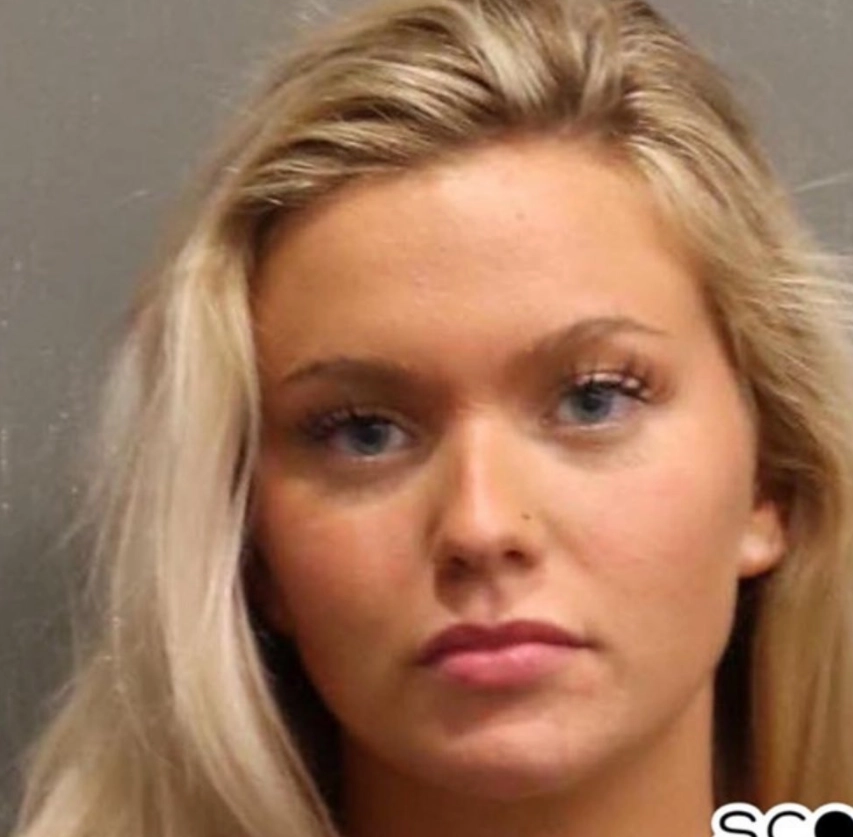 Незаконно проникла в чужую квартиру в три часа ночи в состоянии алкогольного опьянения, чтобы погладить собаку жильцов. 