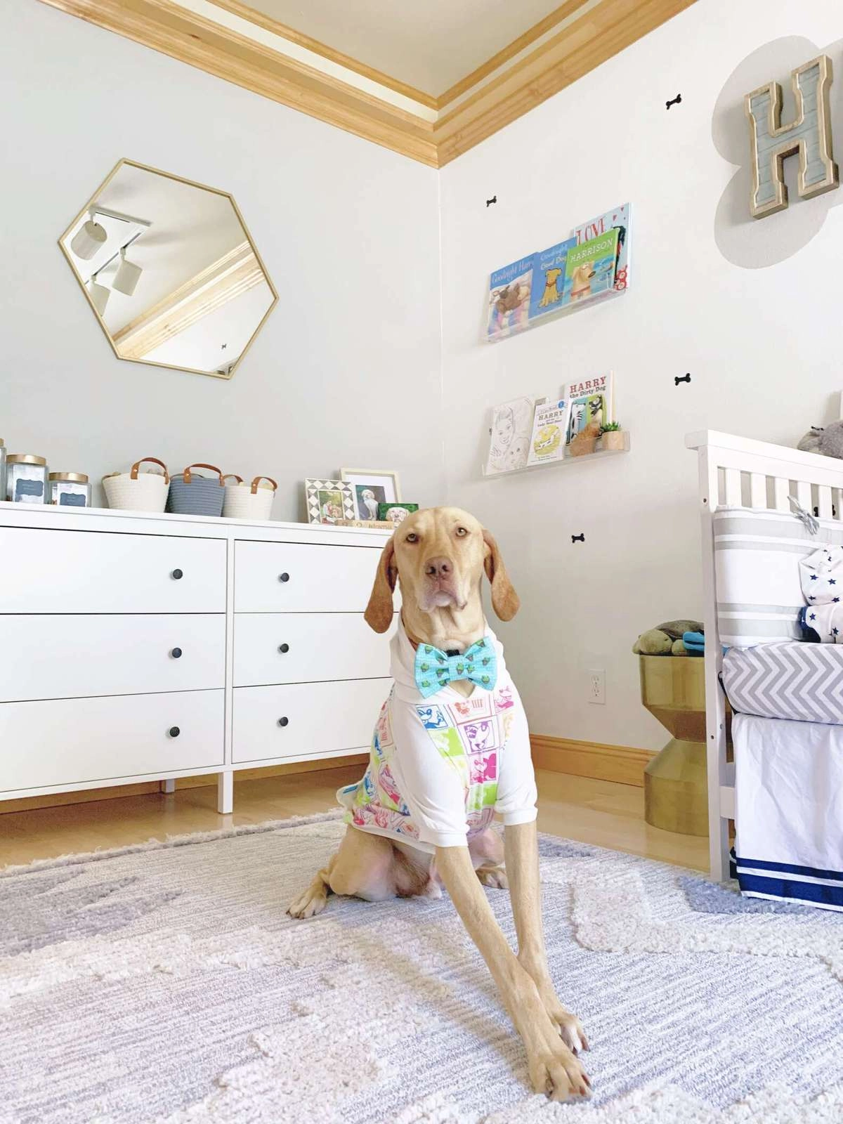 Гарри очень любит свою спальню и проводит в ней много времени.