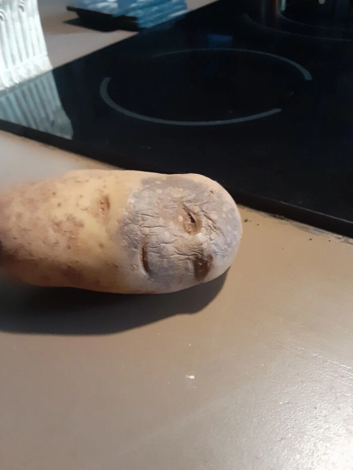 Уставший от жизни картофель. 