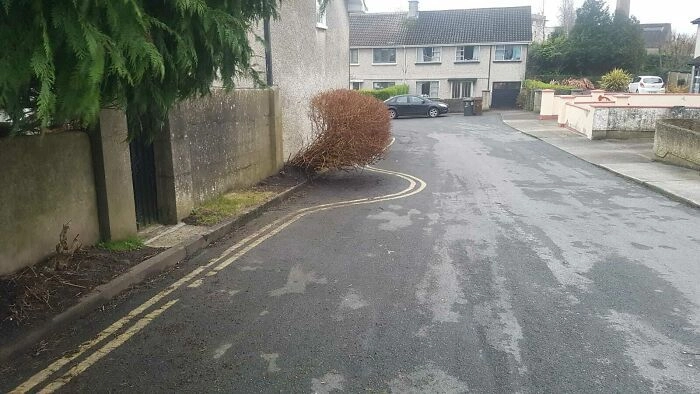 Куст-то никак же не подвинуть. 