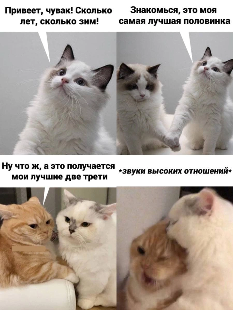 У нее просто кость пушистая.