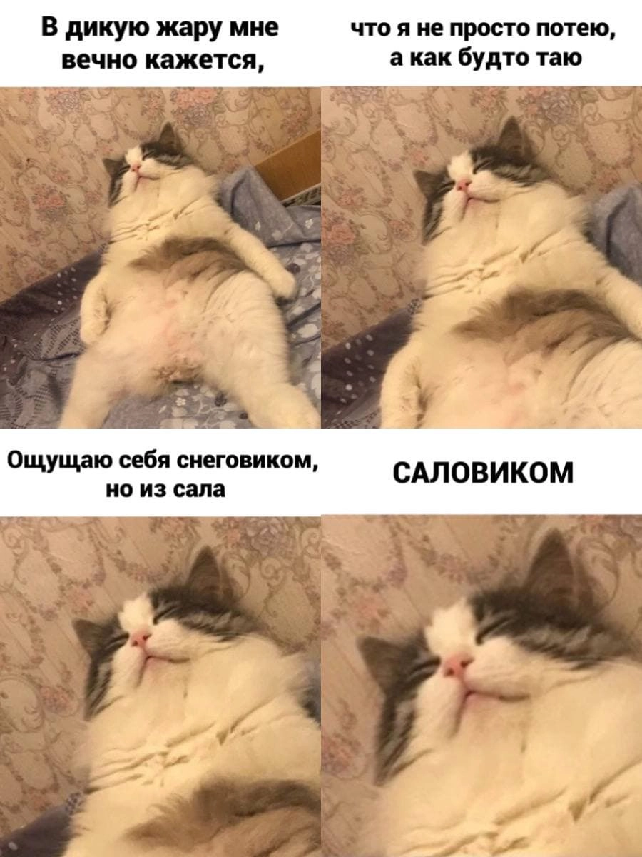 Коротко о погоде и самочувствии в июне.