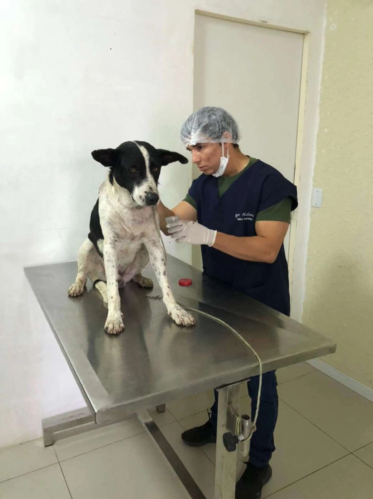 Игорь Холанда решил оставить собакена в стационаре, потому что ему необходимо дальнейшее лечение
