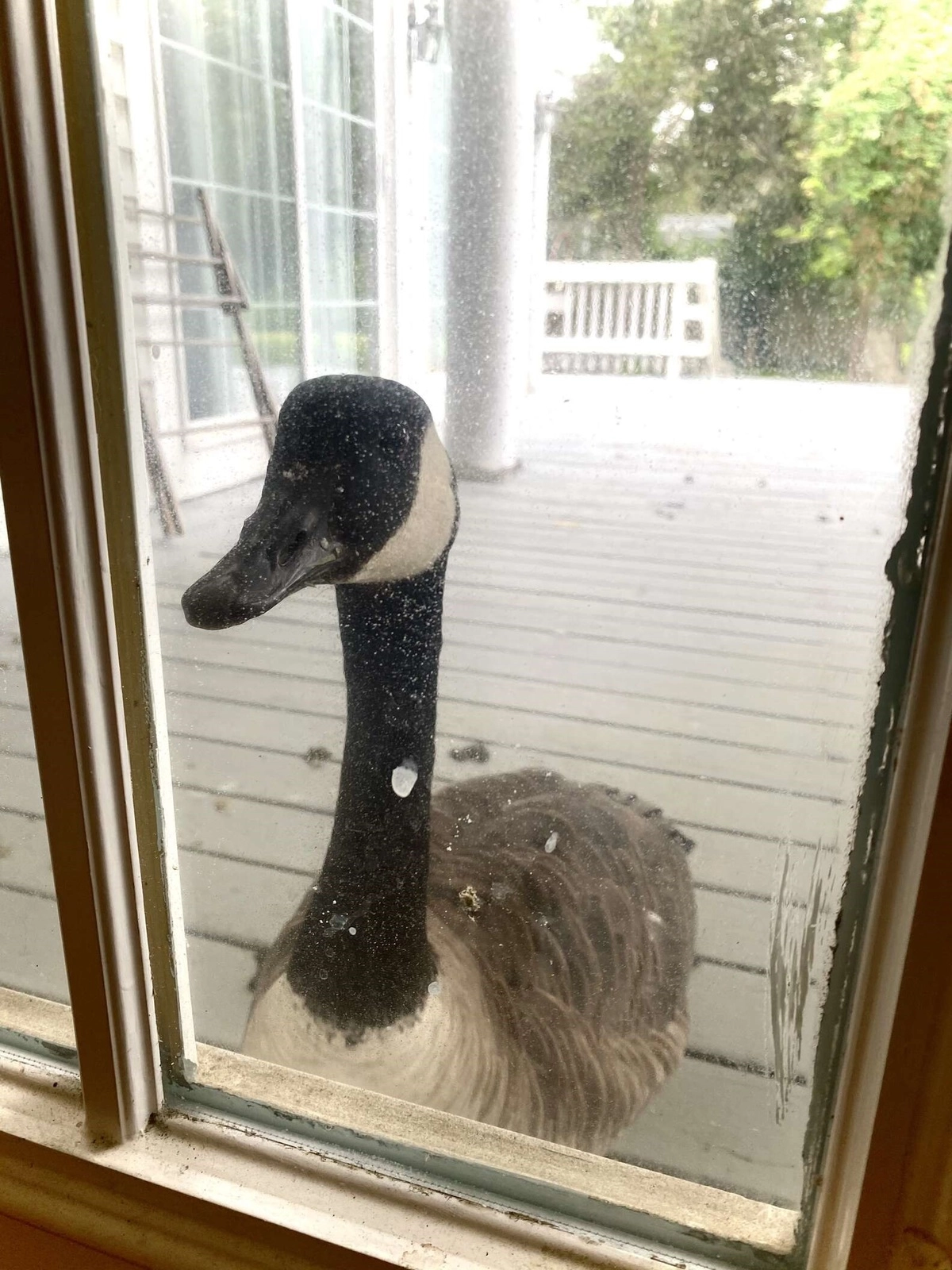 Возлюбленная Арнольда стояла у дверей клиники на протяжении всей операции.