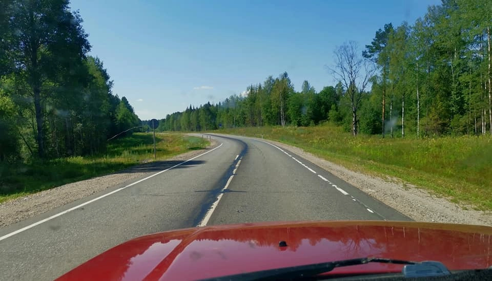 Дорггирусты и хороши! Дорггирусты и хороши!