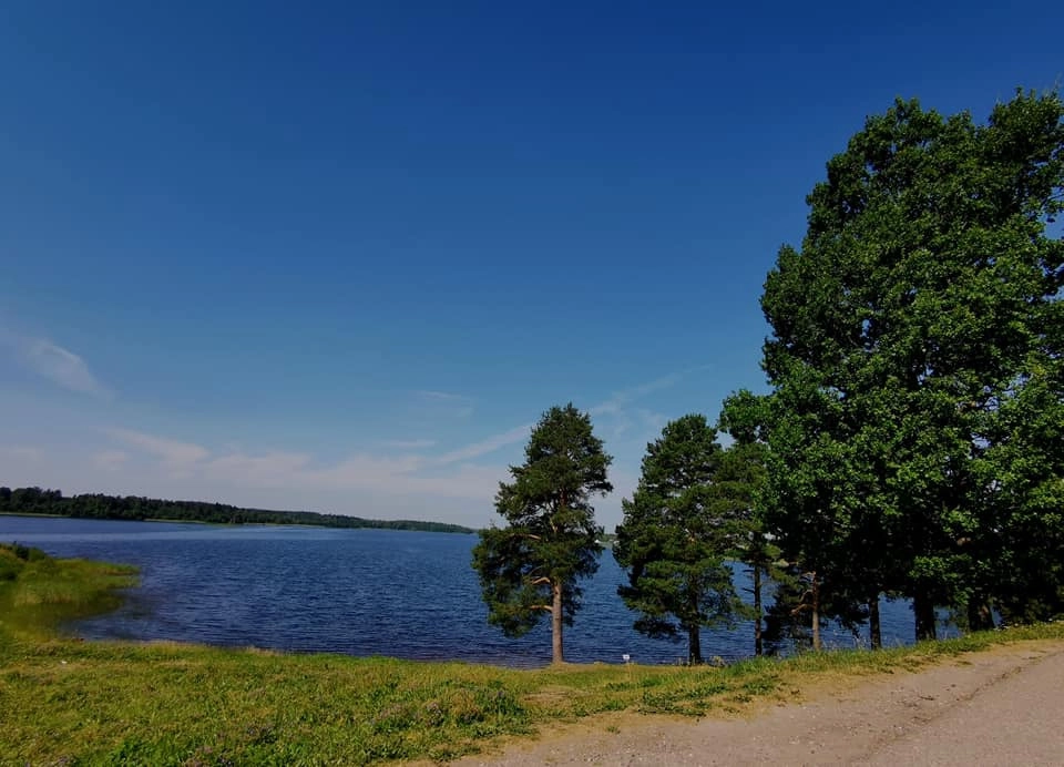 Вид от входа. Вид от входа.