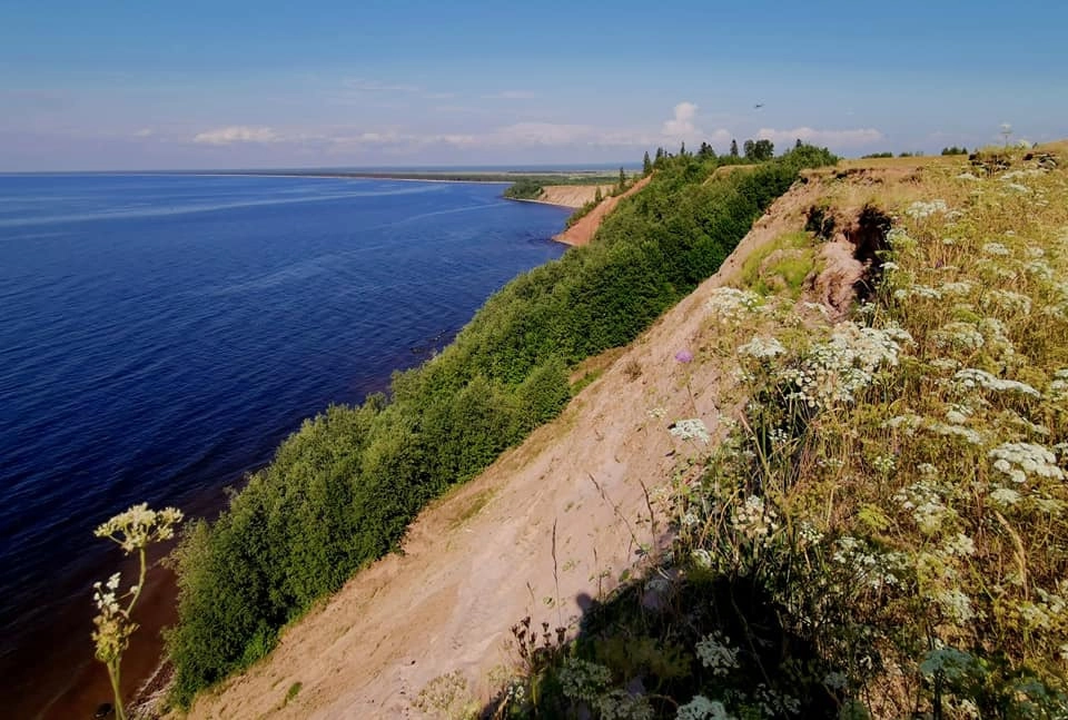 Андома Андома