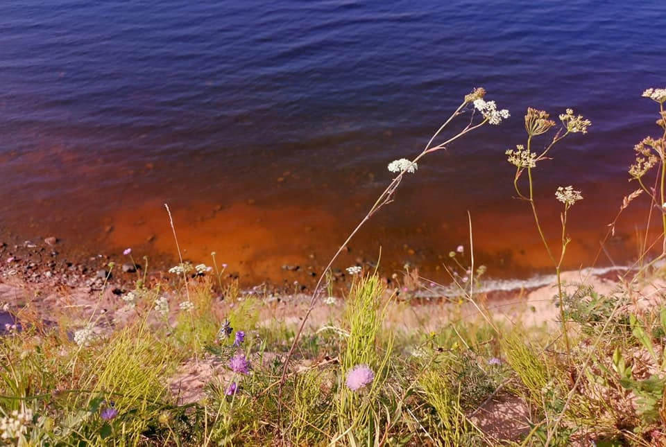 Прозрачная вода Онеги с Андомы горы. Прозрачная вода Онеги с Андомы горы.