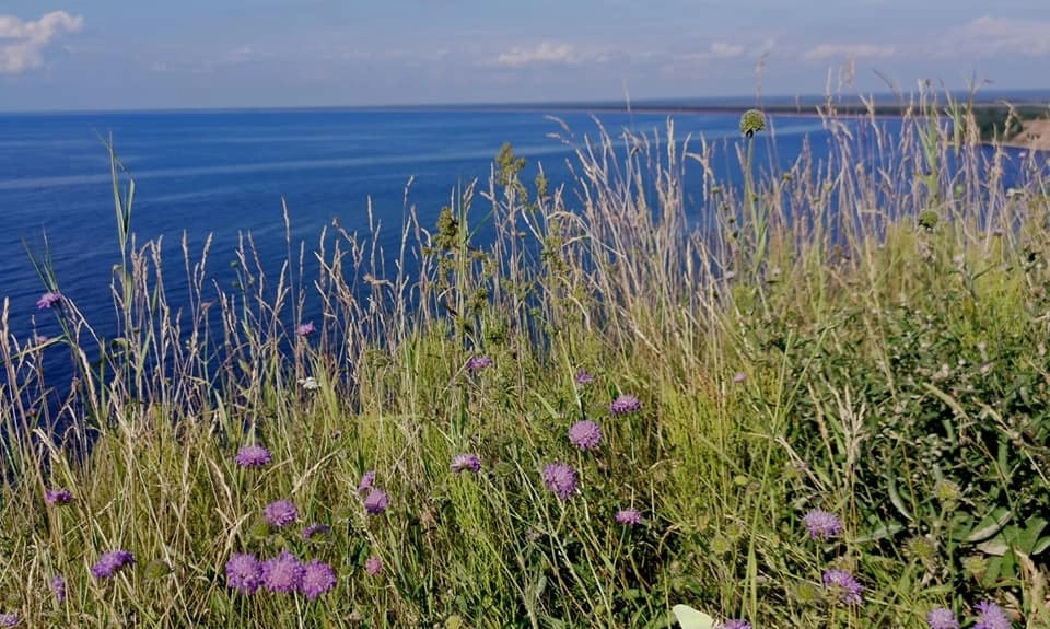 Онега с Андомы Онега с Андомы