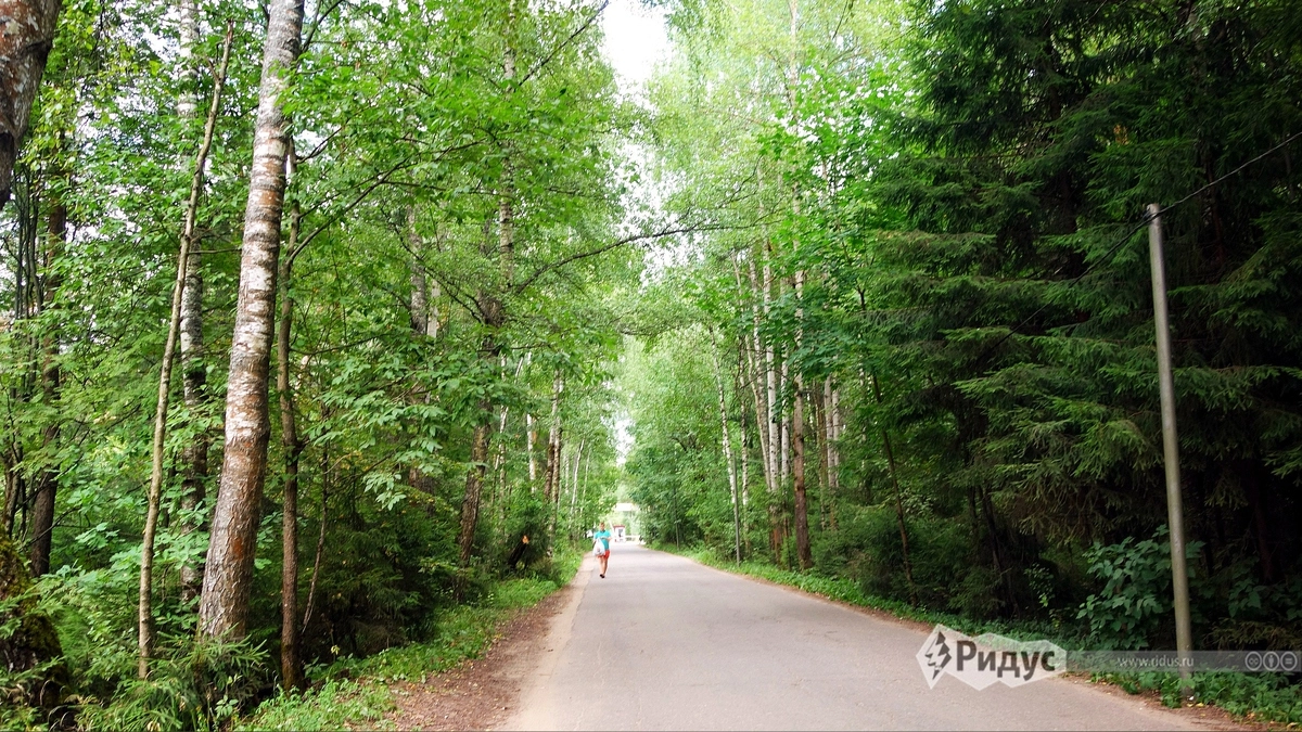 Чтобы добраться до тропического рая, вам нужно идти по указателям в сторону комплекса Чтобы добраться до тропического рая, вам нужно идти по указателям в сторону комплекса