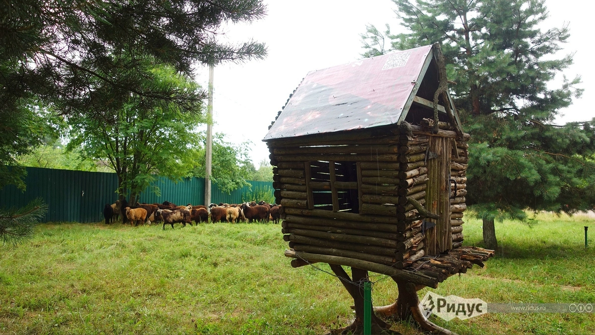 По дороге может встретиться избушка на курьих ножках и отары овец. По дороге может встретиться избушка на курьих ножках и отары овец.
