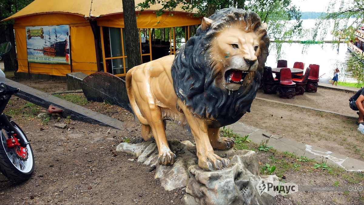 А вот другой пример народного творчества: слегка помятый лев. А вот другой пример народного творчества: слегка помятый лев.