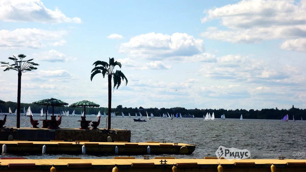 Каждый день десятки белоснежных парусов наводняют горизонт. Каждый день десятки белоснежных парусов наводняют горизонт.